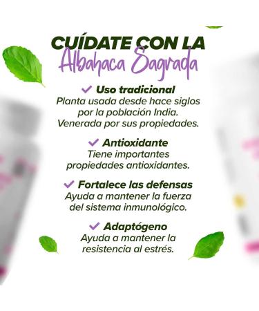  HSN Holy Basil - Holy Basil Extract - from HSN | 30 Vegetable Capsules 6000mg Plant Ocimum Tenuiflorum - 2% Ursolic Acid - High Concentration Per Daily Dose | Non-GMO Vegan Free - Buy Online on GoSupps.com