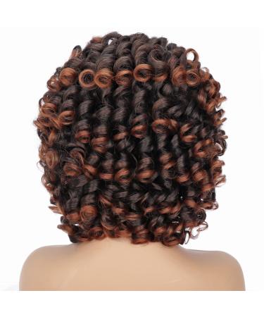 Porsmeer Afro Wig for Women | Black Brown Synthetic Curly Bob Wig with Ponytail | Ideal for Halloween Cosplay & Costumes - Buy Online on GoSupps.com