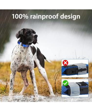 Masbrill Luminous LED Dog Collar - Waterproof & Adjustable Safety Band with 3 Flashing Lights for Small to Large Dogs (Blue XS 25-35cm) - Buy Online on GoSupps.com
