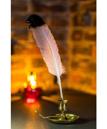 Men's - Wizard Scented Pheromone Oil (Roll On) - Buy Online on GoSupps.com