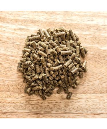 St.Hippolyt 3 kg Eimer - Lamin Forte Horse Care - Buy Online on GoSupps.com