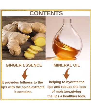 ROESIA Rose Lip Plumper Gloss Set | Effective 5-Star Plumping Lip Gloss | Too Faced Lip Injection Alternative - Buy Online on GoSupps.com