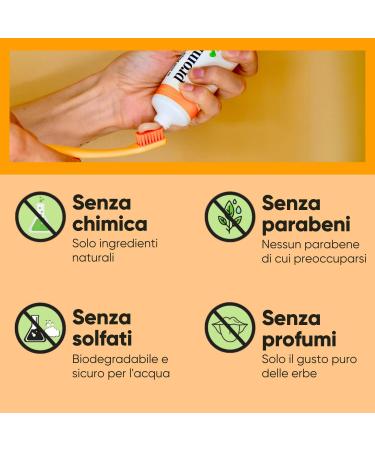  PROMIS promis Dental Care Kit for Optimal Protection Against Plaque and Tartar | Durable Toothbrush | Toothpaste & Natural Anti-Plaque Dental Gel (Large Black) - Buy Online on GoSupps.com