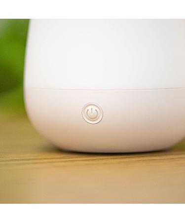 Aroma Labs Diffuser Rosae - Premium Aroma Humidifier for Home & Office - International Shipping Available - Buy Online on GoSupps.com