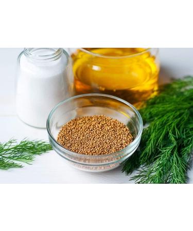 Food to Live Yellow Mustard Seeds (1 Pound) Bag (Pack of 3) Whole Spice Kosher Raw. Spicy Pungent Flavor. Rich in Selenium Fiber. Perfect for Pickling Condiments Homemade Dips and Marinades - Buy Online on GoSupps.com