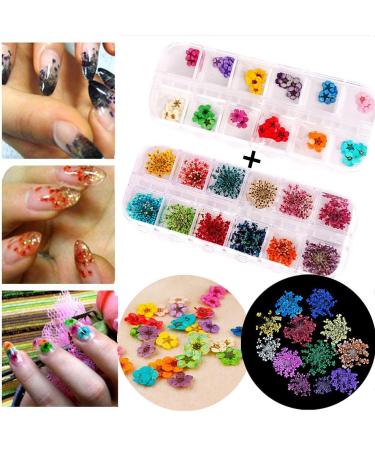 Nail Art Accessories 12-Color Three-Dimensional Nail Dry Flowers 60 Starry Plus 60 Five Flower