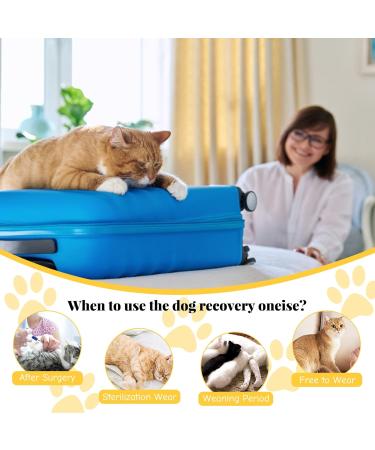Urroma Cat Recovery Suit | Breathable & Elastic Post-Operation Clothing for Cats & Dogs | Ideal for Wound Care & Skin Diseases - Buy Online on GoSupps.com