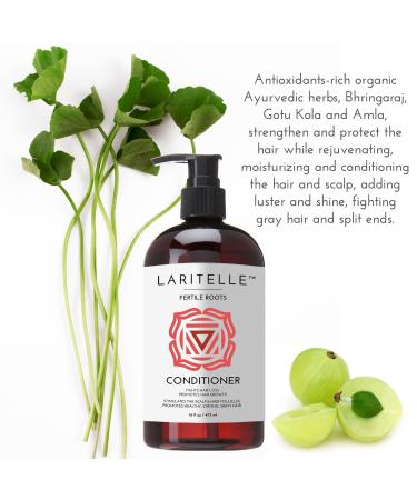 Organic Hair Growth Set - Ayurvedic Shampoo & Conditioner for Hair Loss | No GMOs Sulfates Gluten Parabens - Buy Online on GoSupps.com