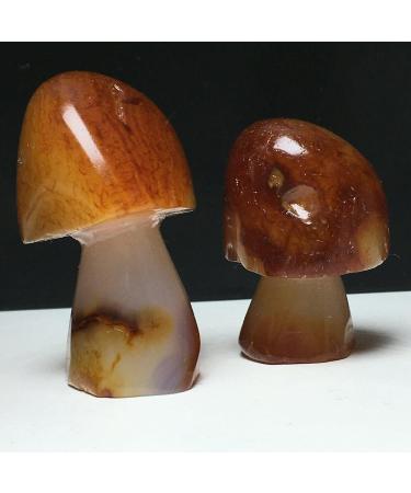 Natural Crystal Rough Stone Natural Agate Crystals raw specimens Hand-Carved Mushrooms Balance Gemstone Decoration - Buy Online on GoSupps.com