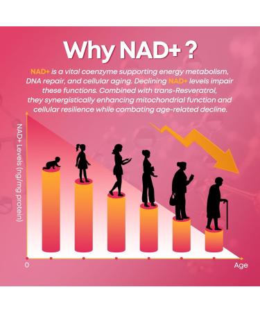 NAD+ Gummies 1200mg Liposomal NAD Supplement for Women & Men with Trans-Resveratrol & Black Pepper Extract Anti-Aging Supplement Brain & Cellular Mitochondrial Health - 60 Gummies Strawberry Strawberry 60 Count (Pack of 1) - Buy Online on GoSupps.com