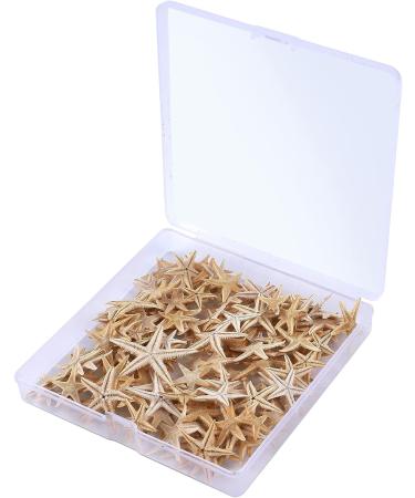 Pearl PCCLION Small Starfish Star Sea Shell Beach Craft 0.4-1 - 200 Pcs - Buy Online on GoSupps.com