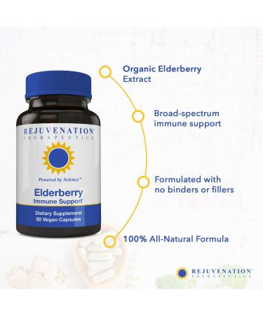 Rejuvenation Therapeutics Elderberry - Elderberry Capsules for Immune Support -Elderberry Cold Fighter - Buy Online on GoSupps.com