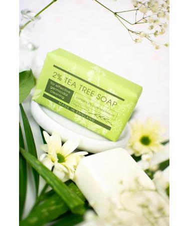 Buy The English Soap Company Take Care 2% Tea Tree Soap Bar - Luxury Moisturising & Soothing 190g for Hands & Body - International Shipping Available - Buy Online on GoSupps.com