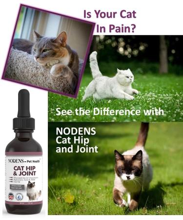 Nodens Cat Hip and Joint Glucosamine with Chondroitin, Opti-MSM, Hyaluronic Acid - 2 fl oz for Joint Flexibility & Pain Relief - Buy Online on GoSupps.com