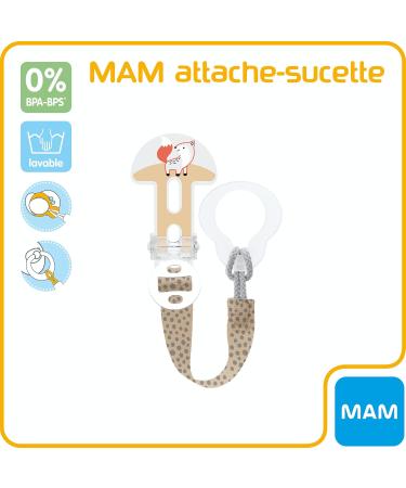 MAM Mixed Succulents - Random Color for All Ages | French Instructions | Ideal for Gifts & Home Decor - Buy Online on GoSupps.com
