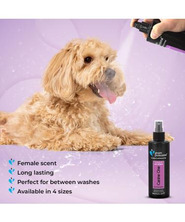 GROOM PROFESSIONAL Canine One Dog Cologne Spray - Dog Perfume Spray - Dog Spray for Smelly Dogs - Popular Fine Fragrance - Contains Chamomile Extracts to Soothe Sensitive Skin 200ml 200 ml (Pack of 1) - Buy Online on GoSupps.com