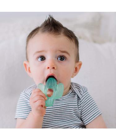 Itzy Ritzy Cutie Coolers Cacti Teethers - Water-Filled Soothing Toys for 3+ Months - Buy Online on GoSupps.com