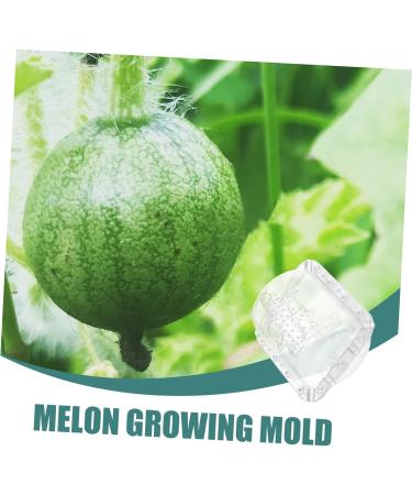 Kisangel 2pcs Fruit Shaping Mold Fruits Transparent Shaping Mold Shaper Mold Melon Mold Vegetable Small Fruit - Buy Online on GoSupps.com