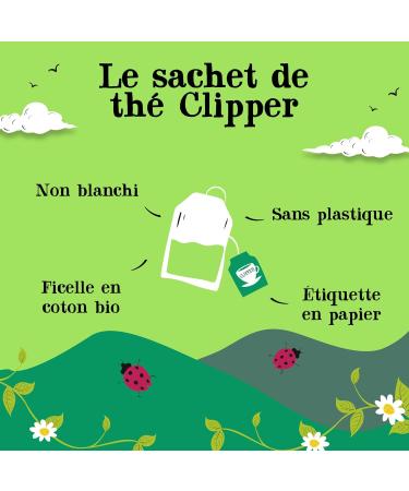 CLIPPER - Organic Strawberry Green Tea - Sumptuous - Fair Trade - 20 Organic Tea Bags - 1 pack - Buy Online on GoSupps.com