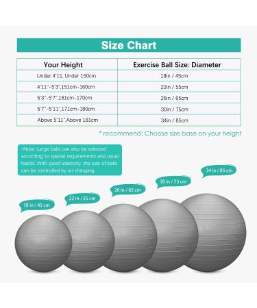 RITHIOX Exercise Ball Yoga Ball 26 Gray - Anti-Slip Stability Ball for Pregnancy Birthing, Anti-Burst Workout Ball with Quick Pump - Perfect for Office, Home, Gym - Buy Online on GoSupps.com