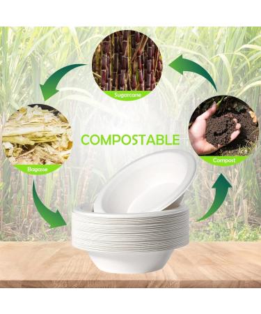 dinio Paper Bowls Bowls 50 Pack Sugarcane Bowls Compostable Soup Bowls for Hot BBQ Picnic 680Ml - Buy Online on GoSupps.com