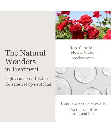 Dr Bio Wrap Up Treatment Damaged Hair Repair - 750ml) - Buy Online on GoSupps.com