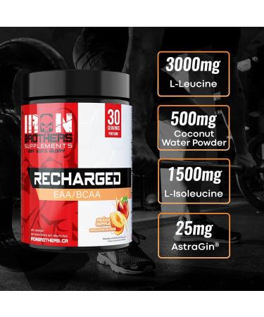 Recharged BCAA/EAA Electrolyte Powder | Peach Ripple Amino Acids Supplement for Muscle Recovery | L-Leucine L-Isoleucine Electrolytes & AstraGin - Sugar-Free | Post-Workout Energy Drink | 30 Serves - Buy Online on GoSupps.com