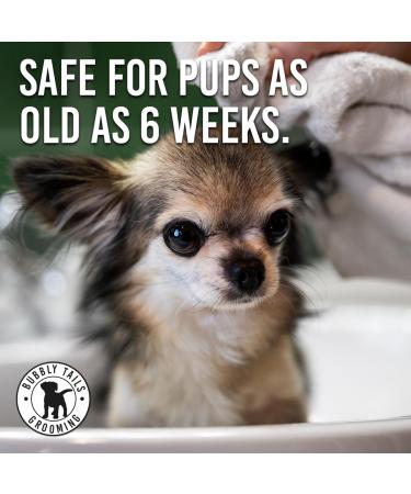 HugglePets Bubbly Tails Baby Powder Cologne for Dogs 250ml | Fragrant Grooming Clean Fresh-Smelling Pups | No Paraben Preservatives and Vegan Friendly 250 ml (Pack of 1) - Buy Online on GoSupps.com