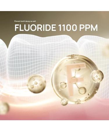 Premium Care Toothpaste (Postbiotic Gum Protection + Enamel Care) 100g - Buy Online on GoSupps.com