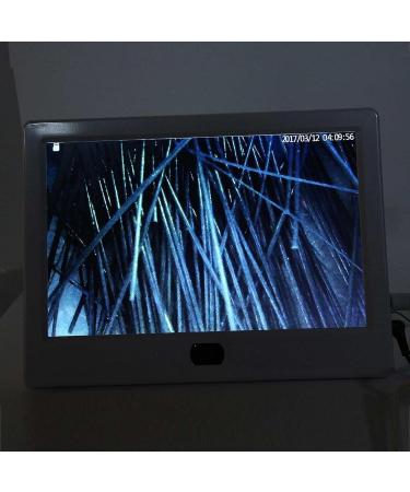 Skin Scalp Detector 13 Inch HD LCD Screen Skin Hair Follicle Detector Skin Hair Scalp Analysis Digital Skin Detector Moisture Tester Rechargeable Hair Follicle Skin Analyser - Buy Online on GoSupps.com