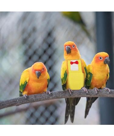 Buy Iplusmile Bird Diaper - Multi-Way Washable Flight Suits with Bowtie for Cockatiels | Soft & Comfortable - International Shipping Available - Buy Online on GoSupps.com