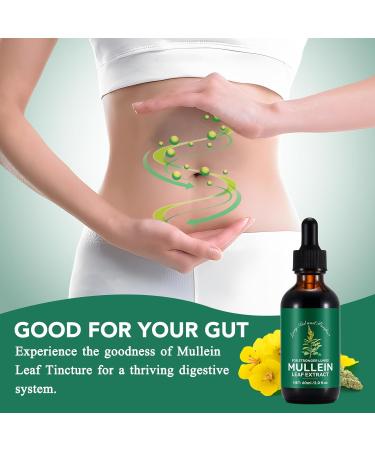 Mullein Leaf Extract Mullein Leaf Drops Lung Aid and Purifier Sublingual Liquid-Healthy and Vegan Lifestyle 2 Bottle - Buy Online on GoSupps.com