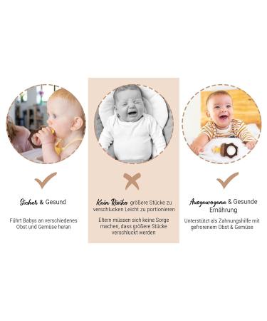 BABYLEDO Baby Fruit Pacifier with Teething Ring | 6+ Months | Safe for Fruits & Vegetables | Cute Bear Design - Duet Brown  - Buy Online on GoSupps.com