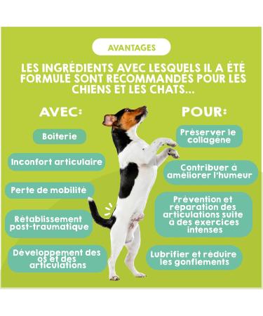 MAIKAI Anti-Osteoarthritis Tablets for Small and Medium Dogs - 120 tablets - Food supplement concentrated in Glucosamine Chondroitin MSM Omega 3 - Strengthens Joints - Buy Online on GoSupps.com