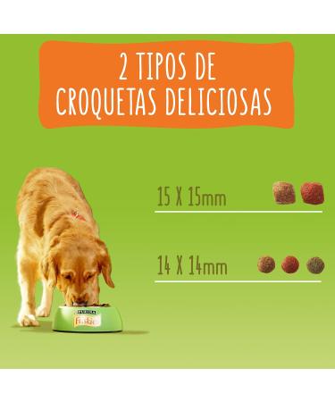 Purina Friskies - Adult Dog Food (poultry and vegetables added) - Buy Online on GoSupps.com