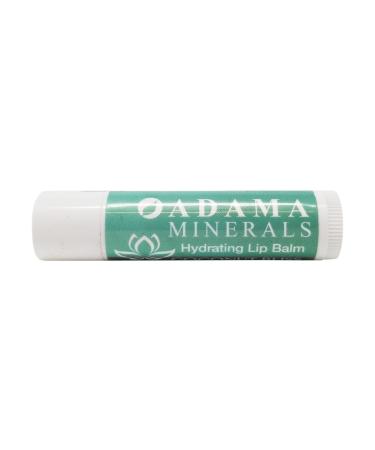 ZION HEALTH Coconut Bliss Lip Balm 1 EA