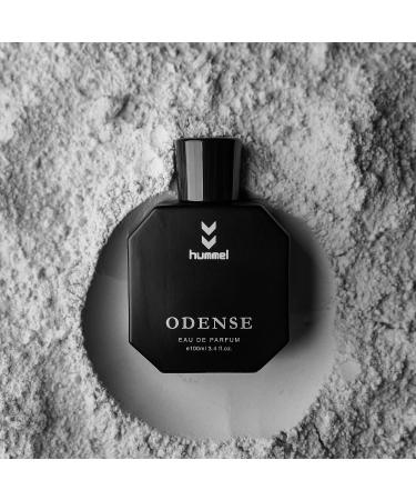 Odense Perfume EDP- 100 ml | Premium Long Lasting Luxury Fragrance | Citrusy Notes with Cinnamon and Vetiver | Best Men Perfume - Buy Online on GoSupps.com