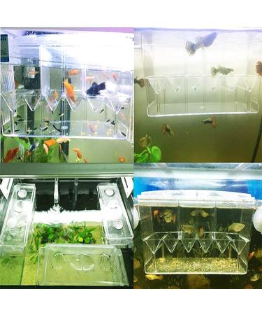 Acrylic Fish Breeding Box | Isolation Breeder Hatchery for Baby Fish, Shrimp, Clownfish - Buy Online on GoSupps.com
