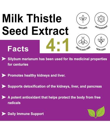 Milk Thistle Powder 100 Percent Pure 4 to 1 Concentrate Herbal Supplement to Support Detox and Body Cleansing (8 Ounce) - Buy Online on GoSupps.com