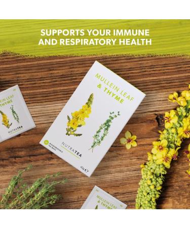 Nutra Tea Mullein & Thyme Herbal Tea 20 Bags - Lung & Throat Support - Buy Online on GoSupps.com