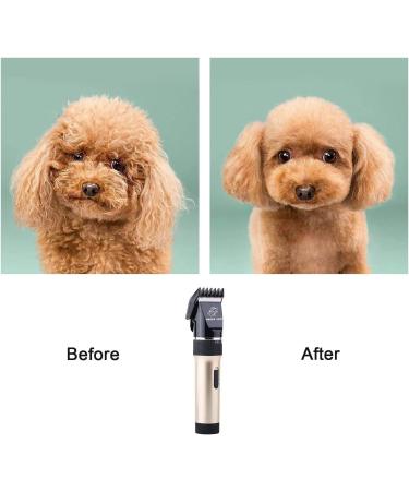 Professional Cordless Dog & Cat Hair Clippers with Detachable Blades and Guards - Rechargeable & Quiet - Ideal for Small Animals - Gold - Buy Online on GoSupps.com