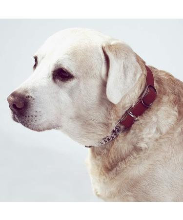 Komate Strong Dog Choke Collar | Adjustable Stainless Chain & Leather | Anti-Escape Training Collar for Small-Medium Dogs | Red (L Neck 38-55cm, S Neck 38-55cm) - Buy Online on GoSupps.com