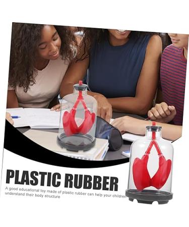 Lung Breathing Model Educational Science Toys Preschool Teaching aid Human Lung Assemble Model Human Body Anatomy Model Teaching Model aid Plastic Rubber Teaching Work Sports - Buy Online on GoSupps.com