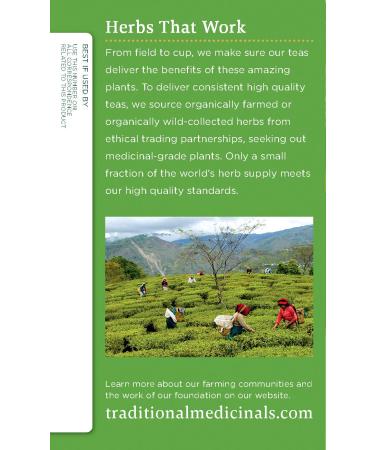 Organic Dandelion Green Tea - Liver Support Herbal Tea (16 Bags) | Traditional Medicinals - Buy Online on GoSupps.com