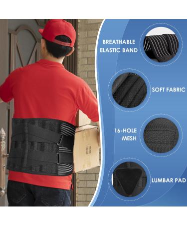 Back Brace for Lower Back Pain Relief | Sciatica & Herniated Disc Support | Lumbar Pad for Home & Work Large (37.4 -45.3  - Buy Online on GoSupps.com