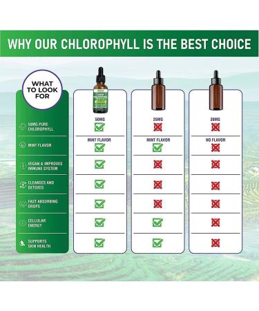 Chlorophyll Liquid Drops - Natural Energy Booster & Immune Support - Internal Deodorant & Detox - Fast Absorption - Vegan & Non-GMO - 120 Servings - 6000MG - Buy Online on GoSupps.com