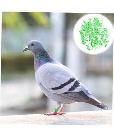 CIYODO 100 pcs Chick Colorful Quail Things Ring Anklet Pet Cockfighting Dove Parrot Feet Numbered 1.3X1.3CM Green - Buy Online on GoSupps.com