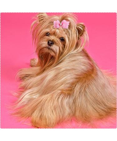 Pet Show Pack of 20 Mixed Styles Topknot Hair Bows for Cats & Dogs - Pink Grooming Accessories - Buy Online on GoSupps.com