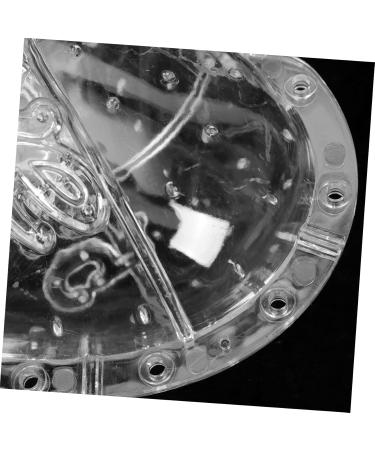 Gadpiparty Plant Vegetables Fruit for Outdoor Vegetable Pumpkin Watermelon - Buy Online on GoSupps.com