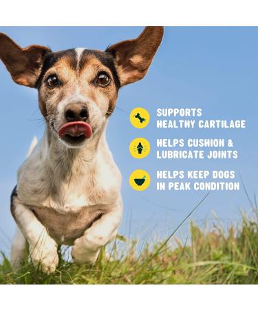 Glucosamine for Dogs Soft Chews 120 ct - Hip and Joint Supplement with Chondroitin, Turmeric, MSM - Vitamin E for Small, Large Breed & Senior Dogs - Mobility Support - 120 Count - Buy Online on GoSupps.com